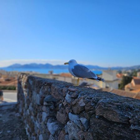 Апартаменты Sweet Azur - Host Provence Ле-Канне Экстерьер фото